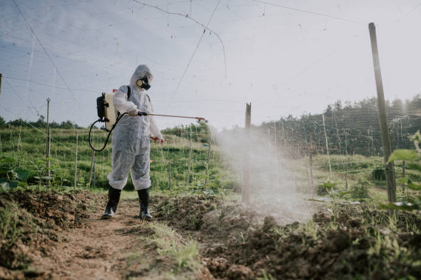 Best Best Pest Control Companies  in Waseca, MN