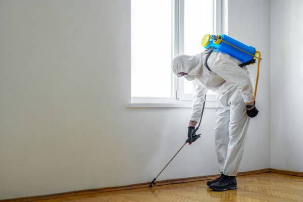 Professional Pest Control in Waseca, MN