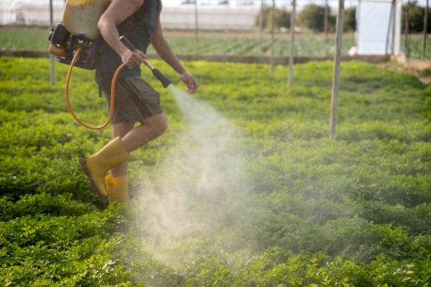 Best Wasp Removal Services  in Waseca, MN