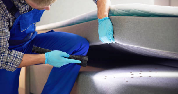 Best Pest Control for Homes  in Waseca, MN