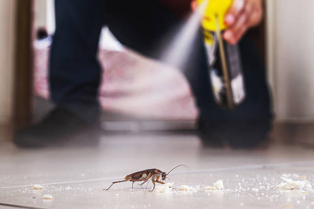 Best Pest Removal Services  in Waseca, MN