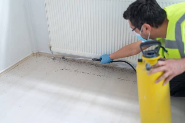Best Local Pest Control Services  in Waseca, MN